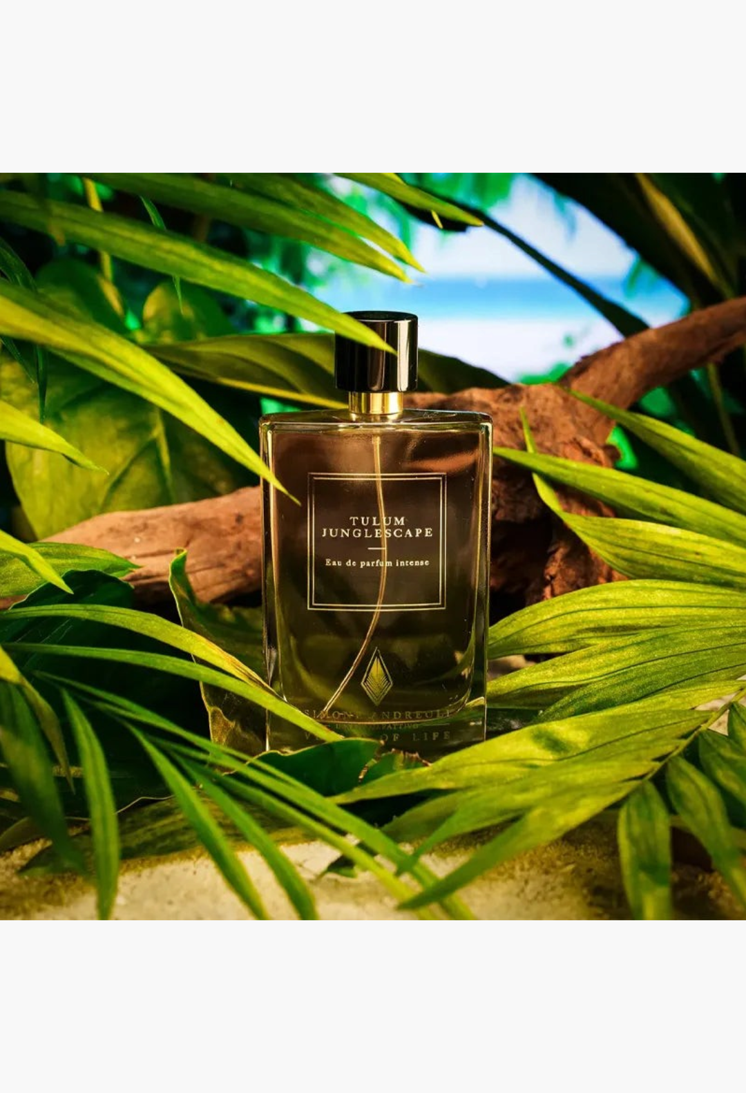 SIMONE ANDREOLI Tulum Junglescape Eau de Parfum Intense 100ml