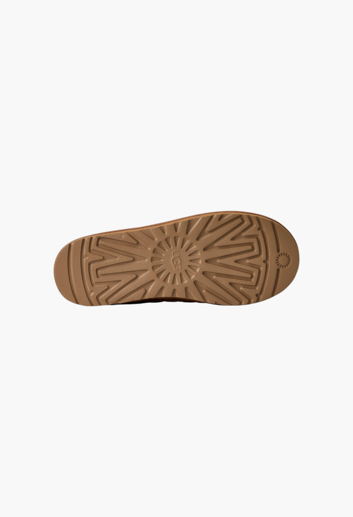 Men's Tasman Woven
