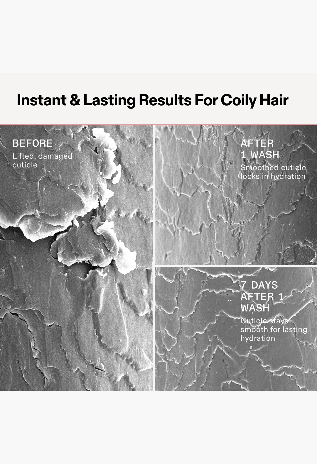 OLAPLEX HYDRATING CURL SHAMPOO & CONDITIONER LITER SET