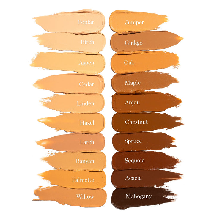 Sculpted Complexion Foundation Stick