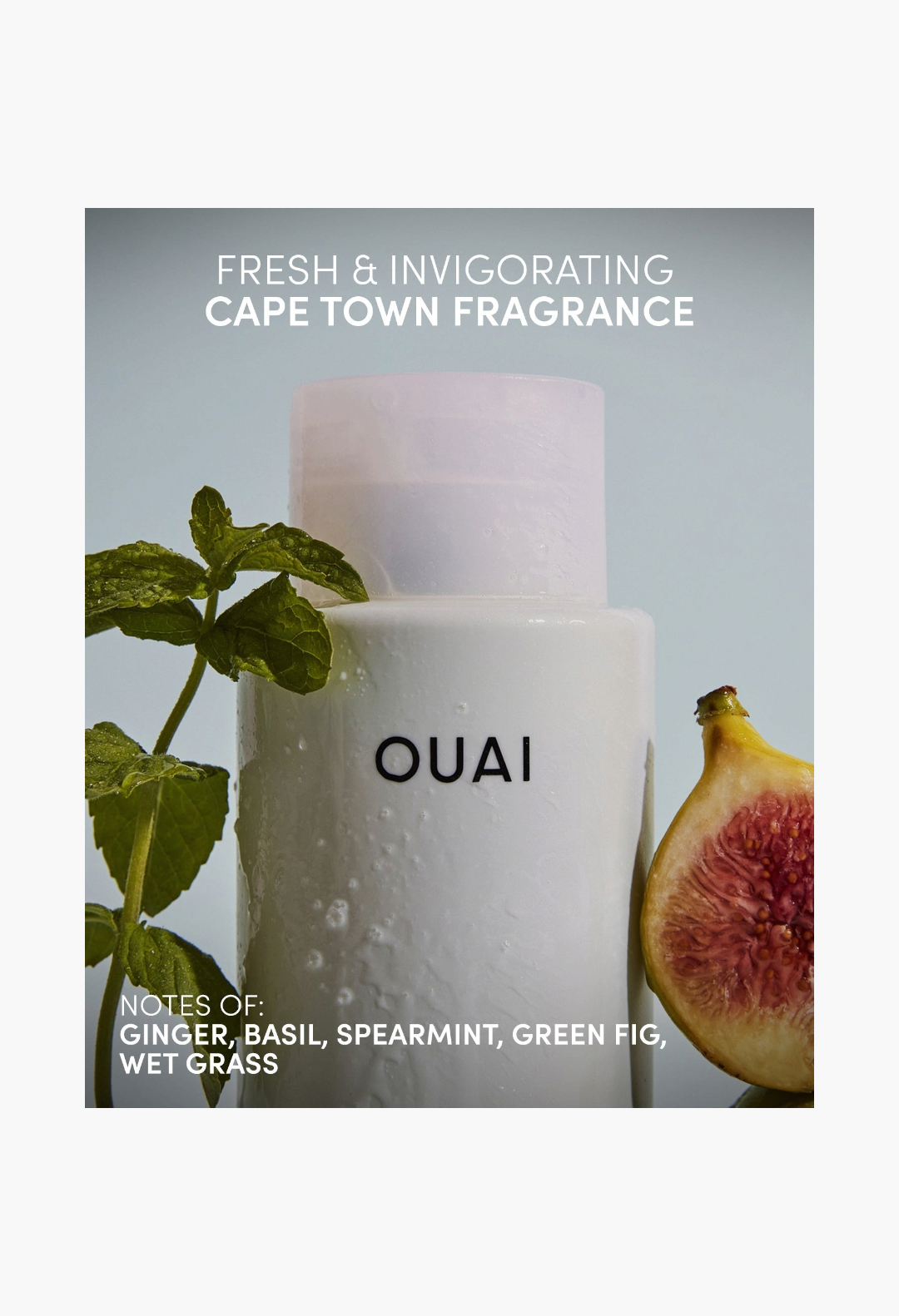 Ouai Anti-Dandruff Hair Shampoo
