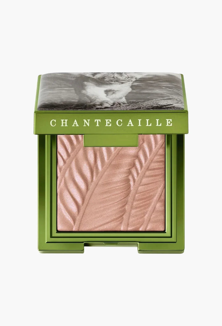 Matte Eye Shade Narika Limited Edition gel-powder eye shadow