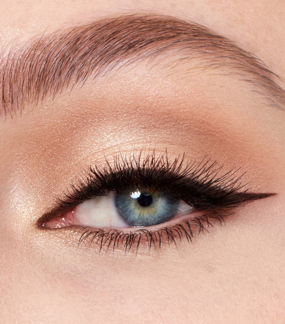 Nudegasm Face Palette - Charlotte Nudegasm Palette - GLAM MODA