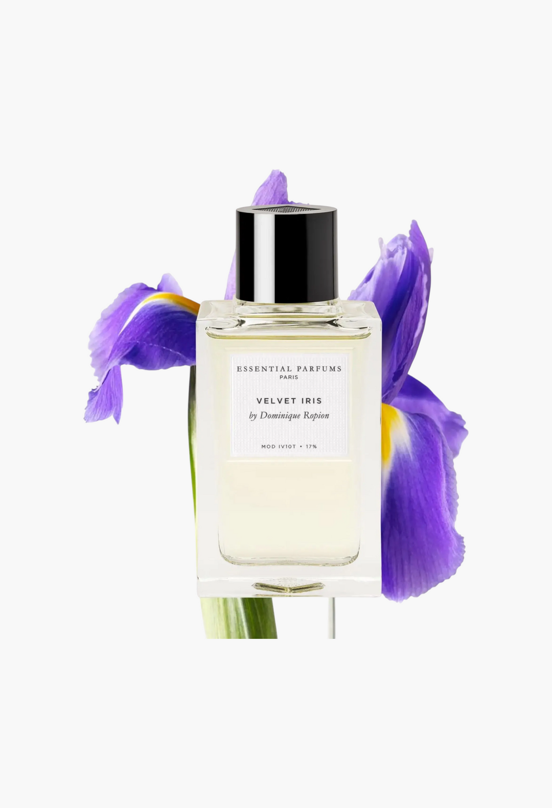 Velvet Iris - GLAM MODA