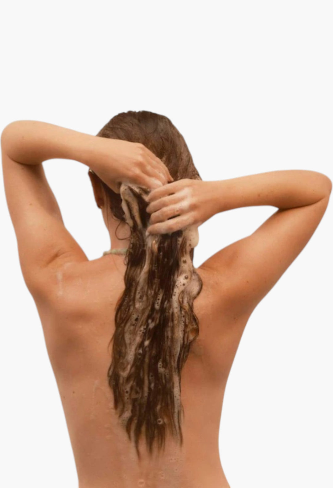 The Volumizing Shampoo for Oily, Flat Hair - GLAM MODA